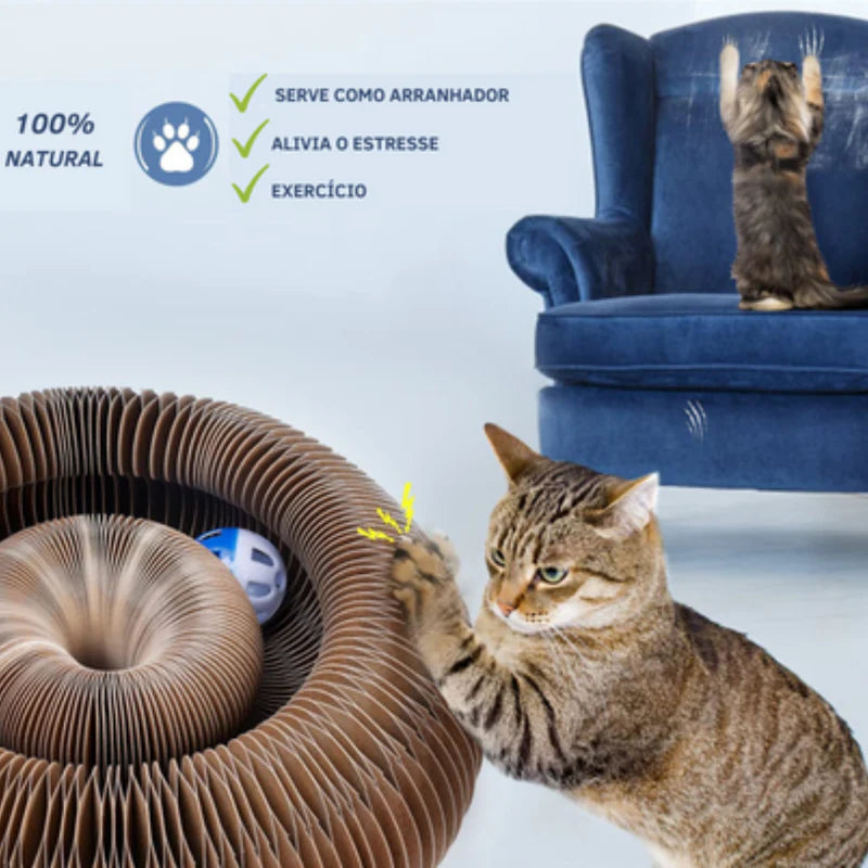 Brinquedo Interativo Para Gatos I Cat Joy + 1 Bola de Brinde - GolfiShop